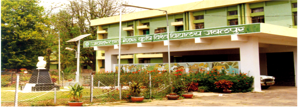 Ph.D. From Jawaharlal Nehru Krishi Vishwavidyalaya, Madhya Pradesh