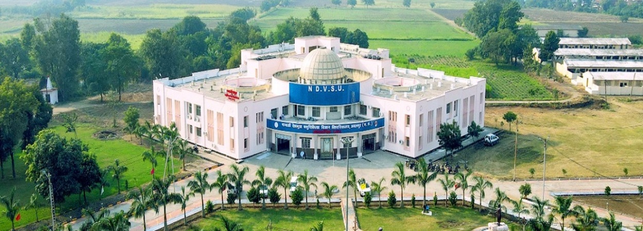 Ph.D. From Nanaji Deshmukh Pashu Chikitsa Vigyan Vishwavidyalaya, Madhya Pradesh