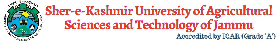University Logo