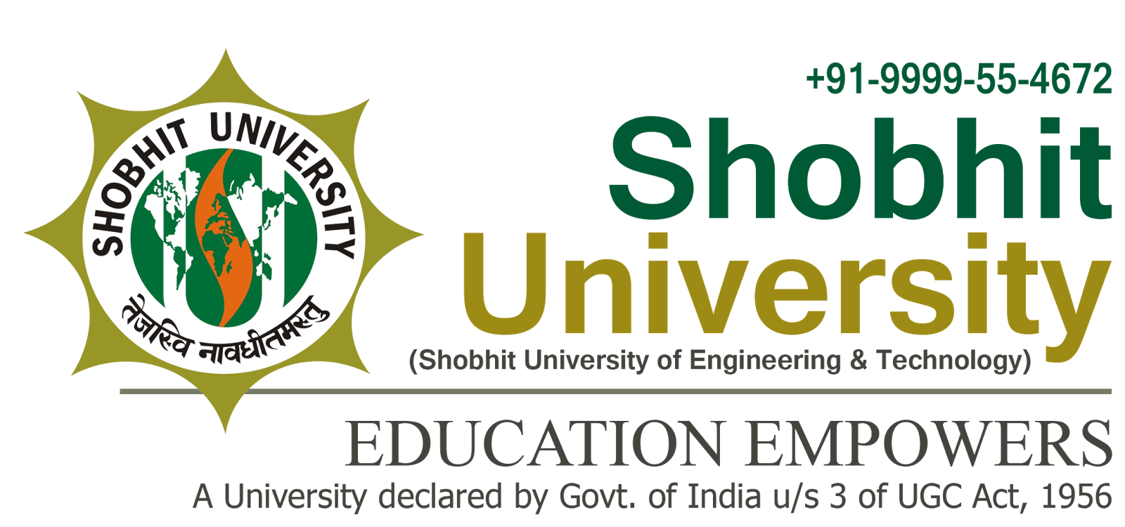 University Logo